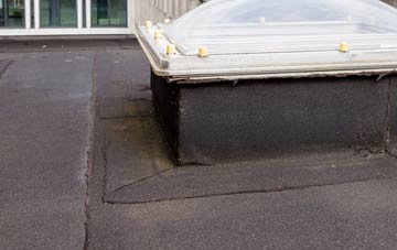 disadvantages of West Bennan flat roofs